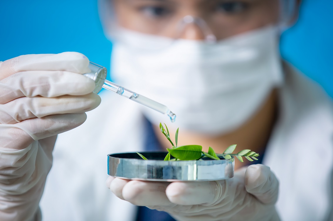 Finep/MCTI lança par de editais sobre bioeconomia em parceria com a Alemanha Imagem - Finep/MCTI lança par de editais sobre bioeconomia em parceria com a Alemanha