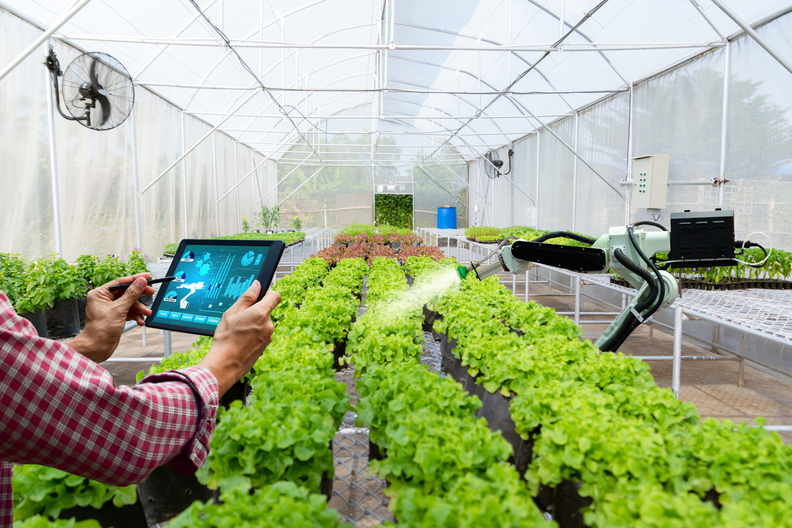 Imagem - MCTI, MAPA e Finep assinam Acordo de Cooperação para apoio a projetos de inovação no setor agropecuário