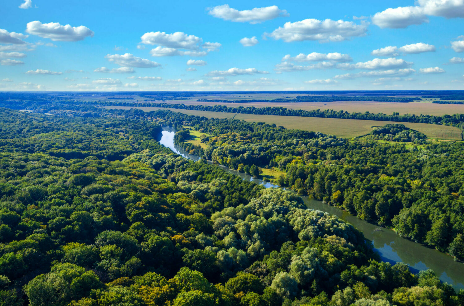 BNDES: Brasil tem tecnologia e capital natural para liderar bioeconomia Imagem - BNDES: Brasil tem tecnologia e capital natural para liderar bioeconomia