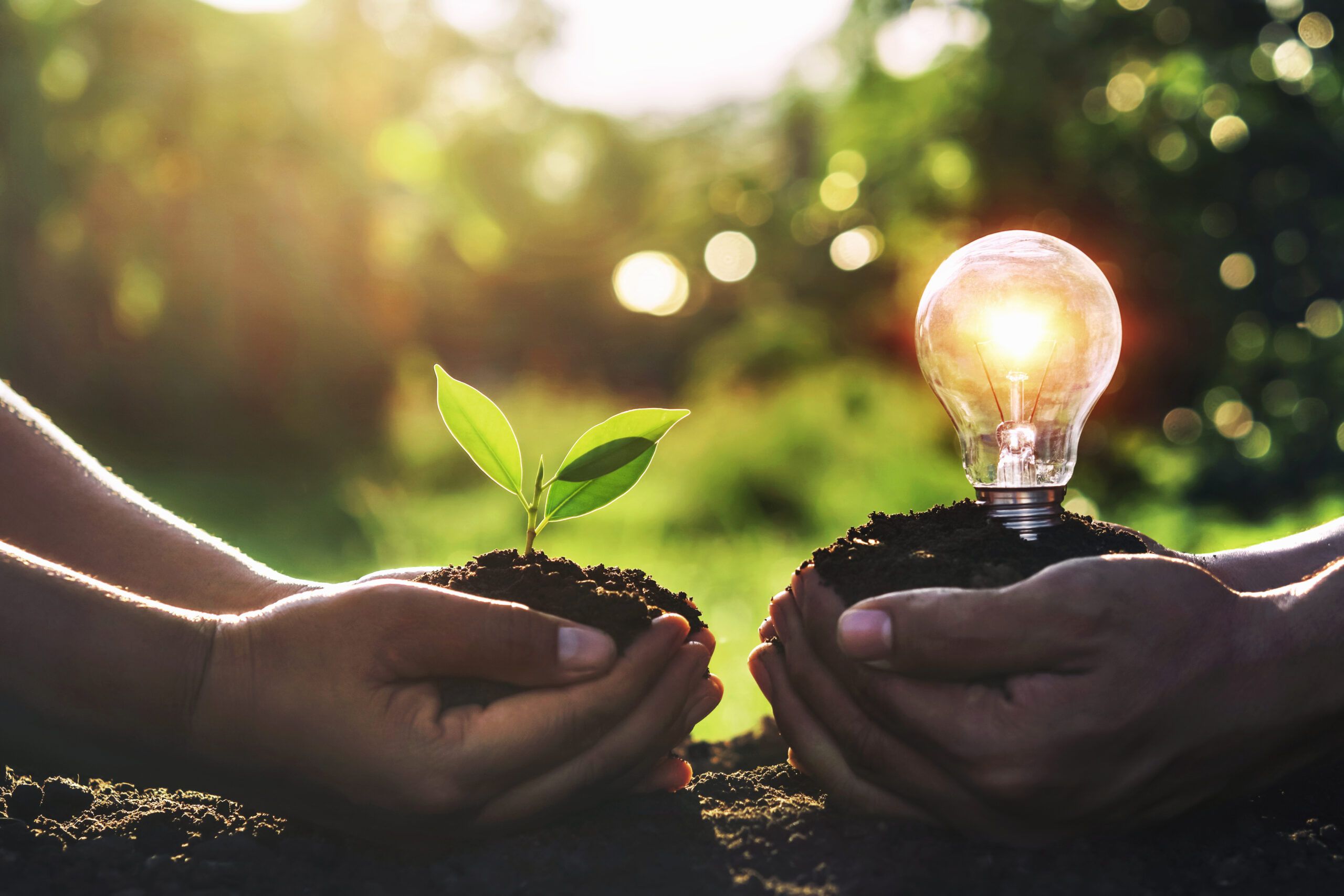 Finep Sustentabilidade oferecerá melhores condições de financiamento para projetos Imagem - Finep Sustentabilidade oferecerá melhores condições de financiamento para projetos