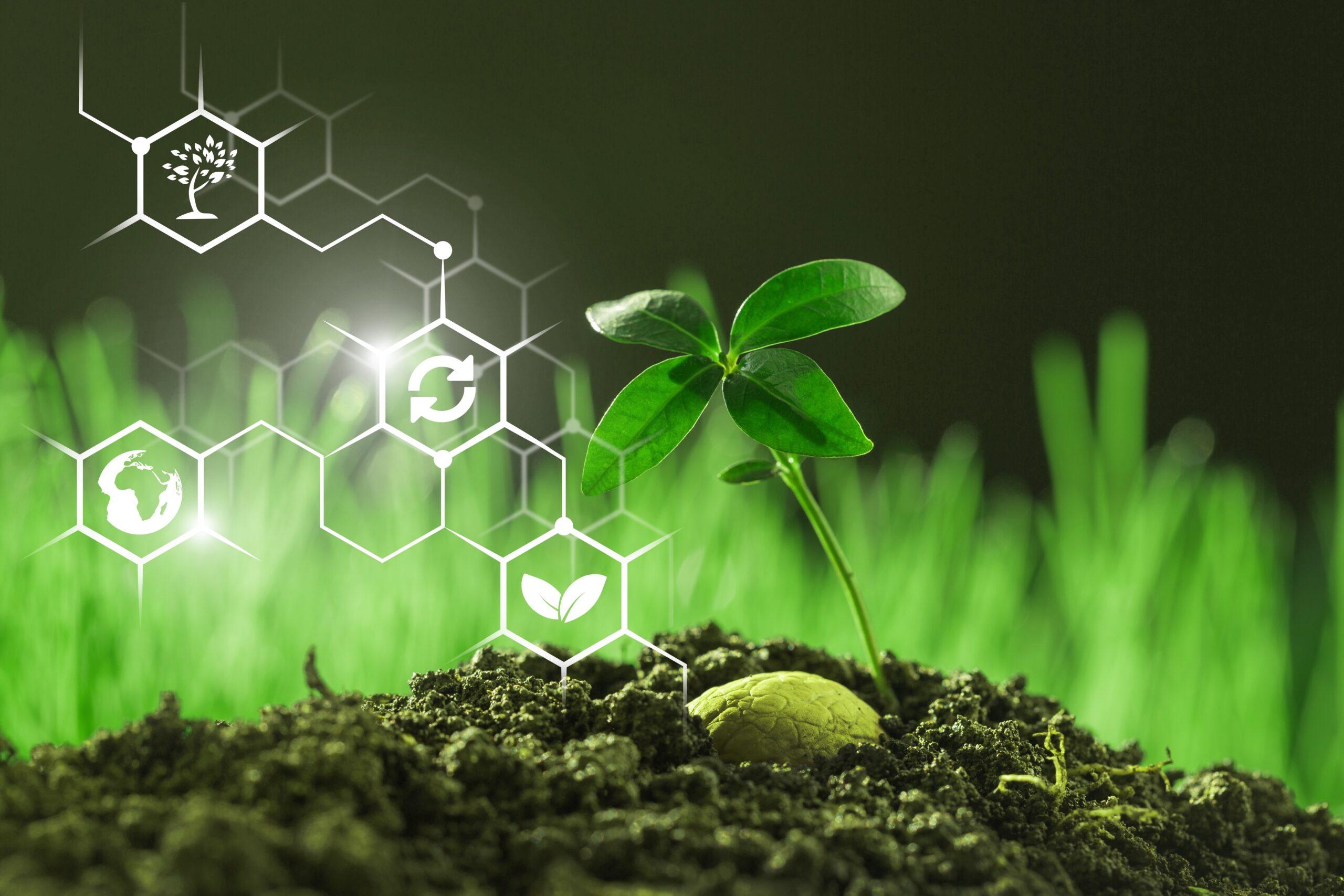 Governo anuncia investimento de R$ 40 milhões para pesquisas científicas do agro Imagem - Governo anuncia investimento de R$ 40 milhões para pesquisas científicas do agro