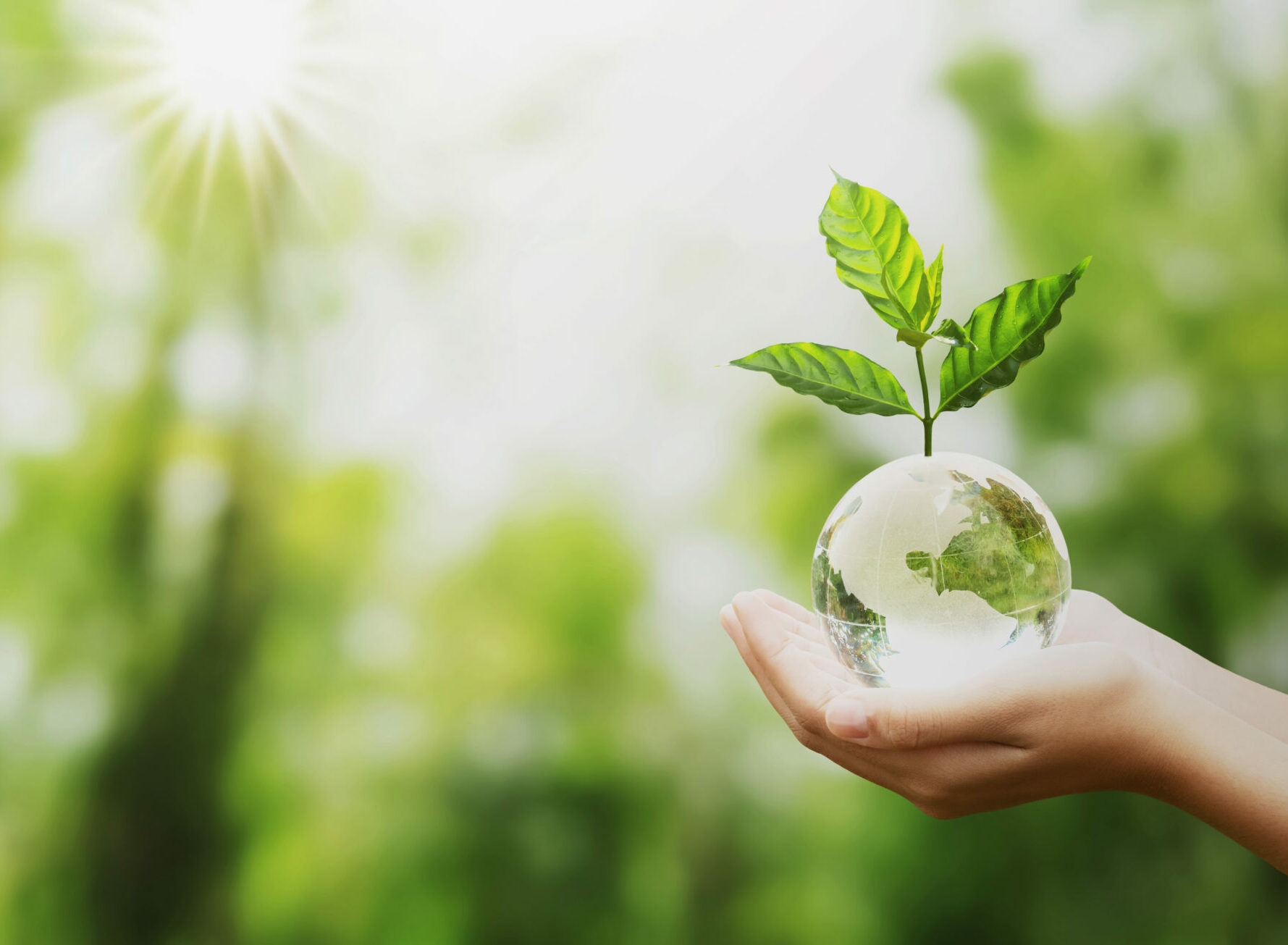Lançada chamada pública para apoiar projetos de preservação ambiental Imagem - Lançada chamada pública para apoiar projetos de preservação ambiental