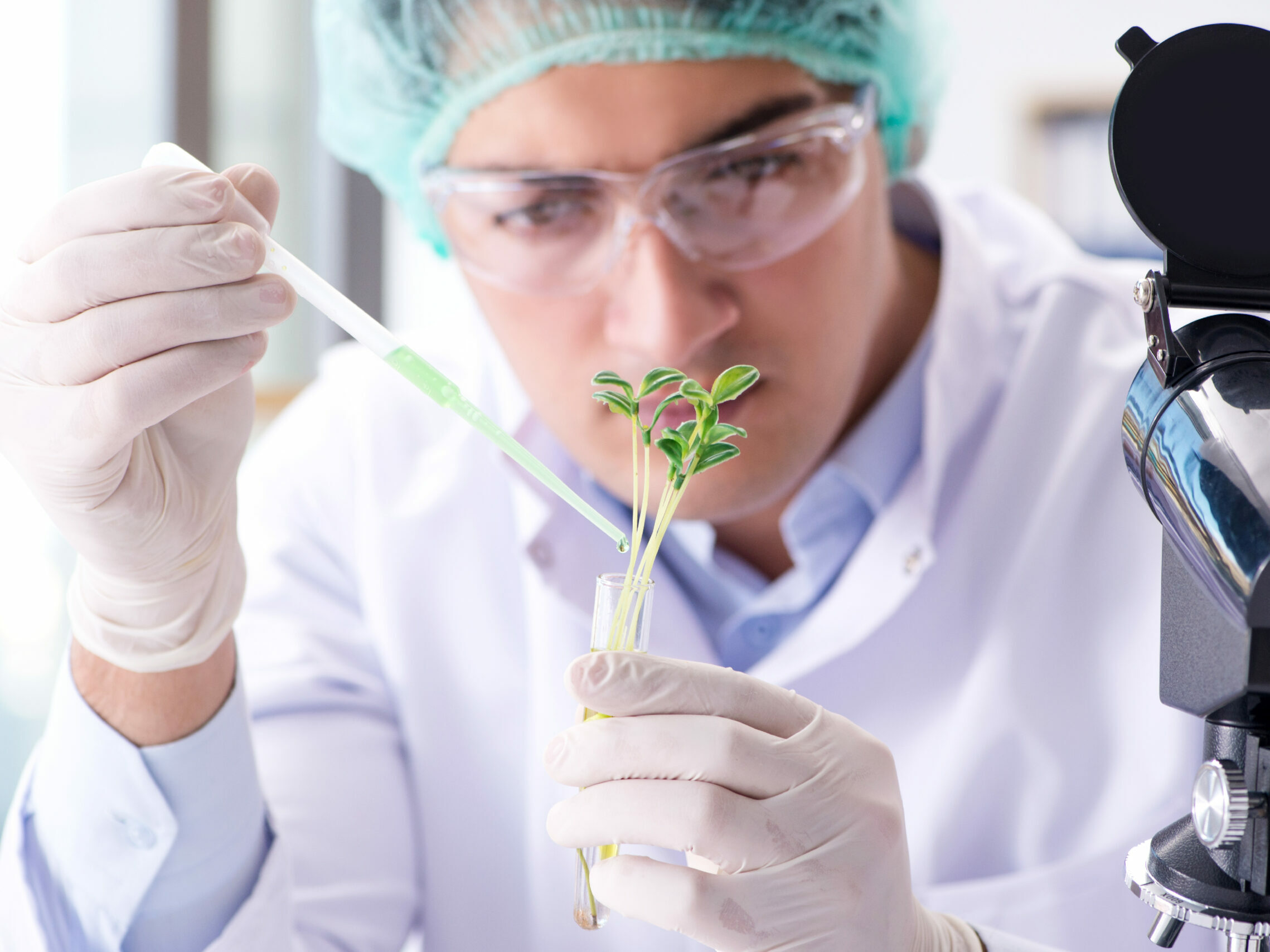 FINEP abre seleção pública de R$ 50 milhões para área de biotecnologia Imagem - FINEP abre seleção pública de R$ 50 milhões para área de biotecnologia