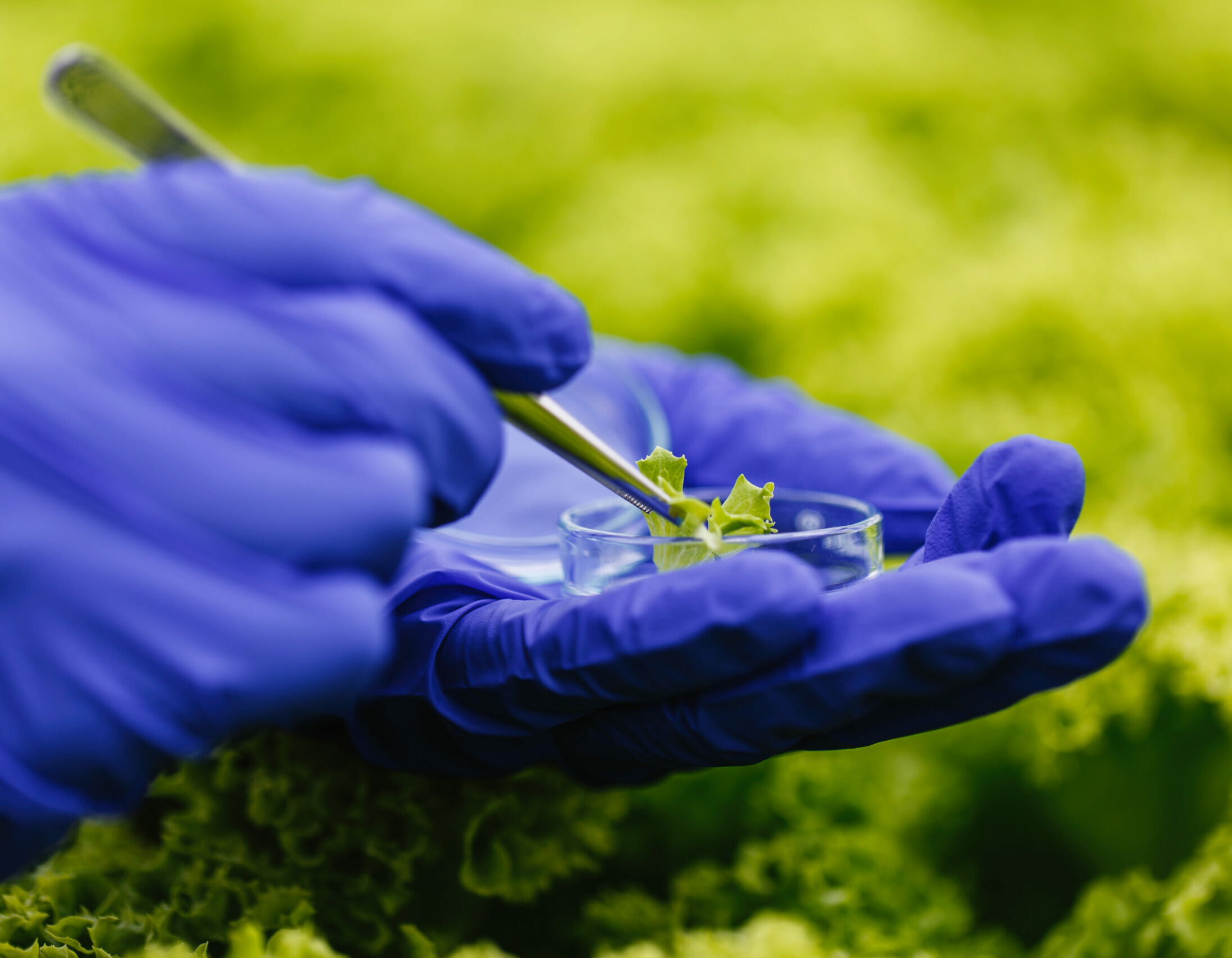 SENAI e Suzano anunciam R$ 24,4 milhões para projetos de inovação em bioeconomia Imagem - SENAI e Suzano anunciam R$ 24,4 milhões para projetos de inovação em bioeconomia
