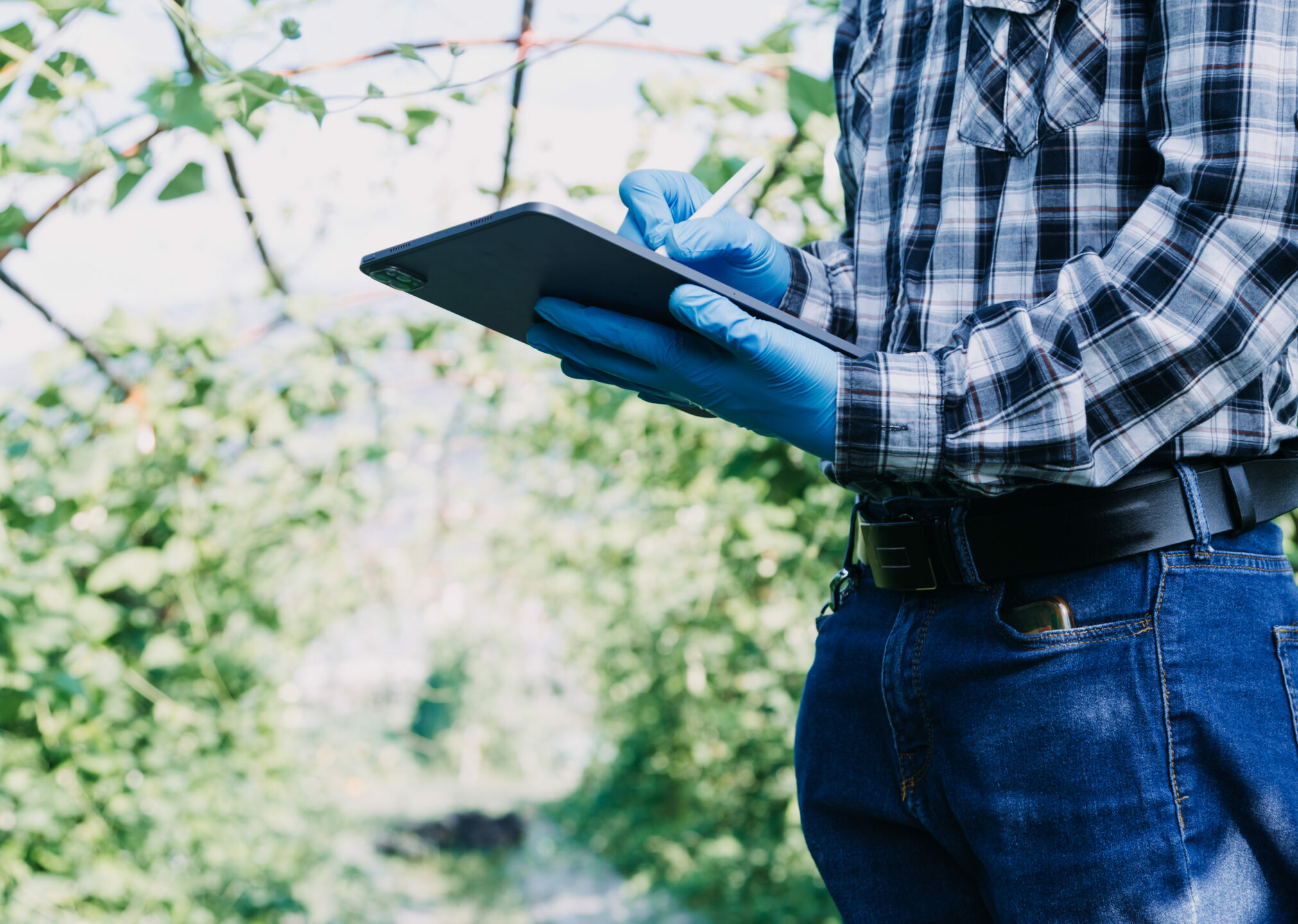BNDES lança crédito rural em dólar para o setor agroexportador do Brasil Imagem - BNDES lança crédito rural em dólar para o setor agroexportador do Brasil