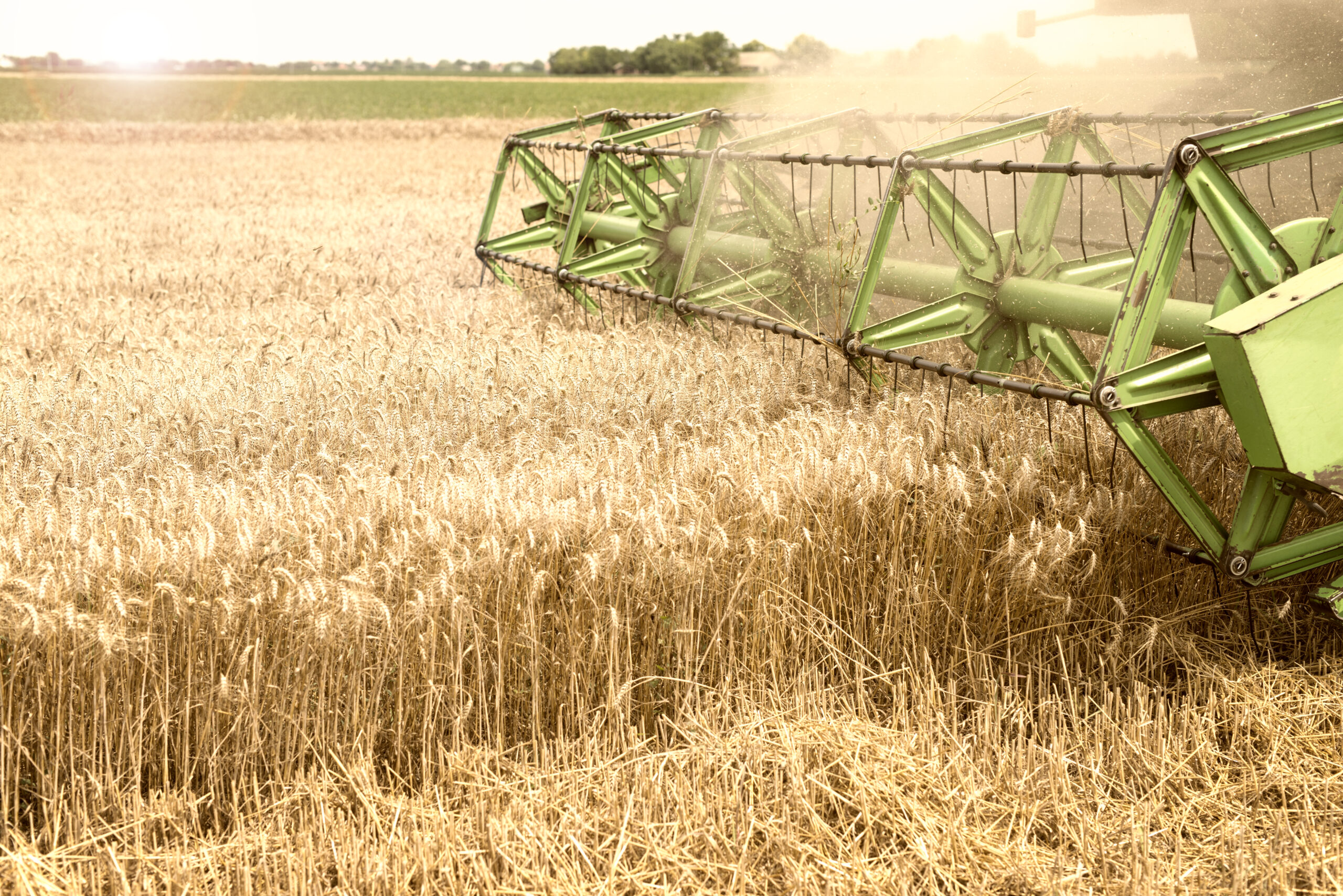 Governo anuncia R$ 7,6 bi para Plano Safra e crédito rural Imagem - Governo anuncia R$ 7,6 bi para Plano Safra e crédito rural