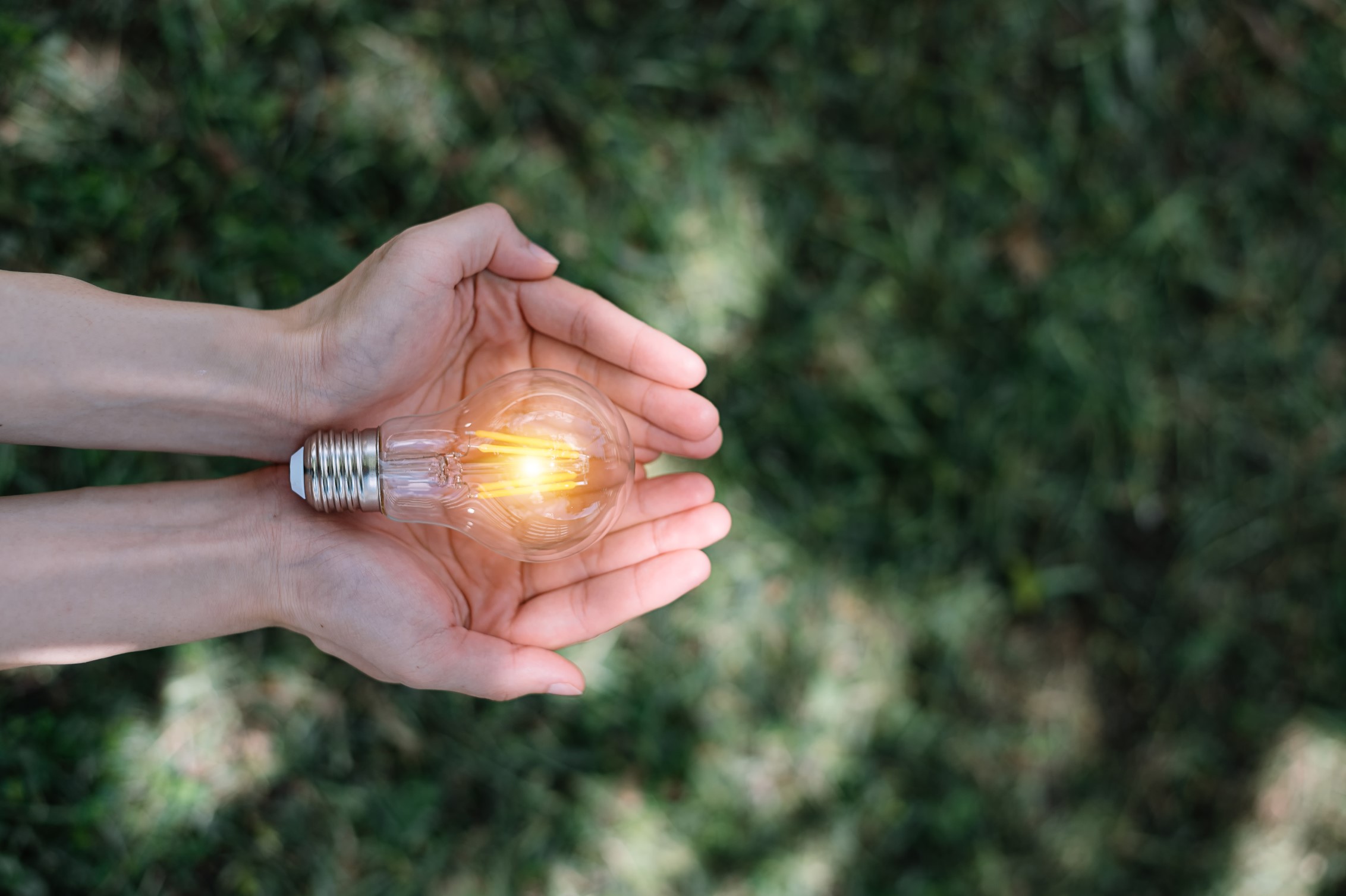 Inovação, descarbonização e transição energética estão entre focos de acordo BNDES e Petrobras Imagem - Inovação, descarbonização e transição energética estão entre focos de acordo BNDES e Petrobras